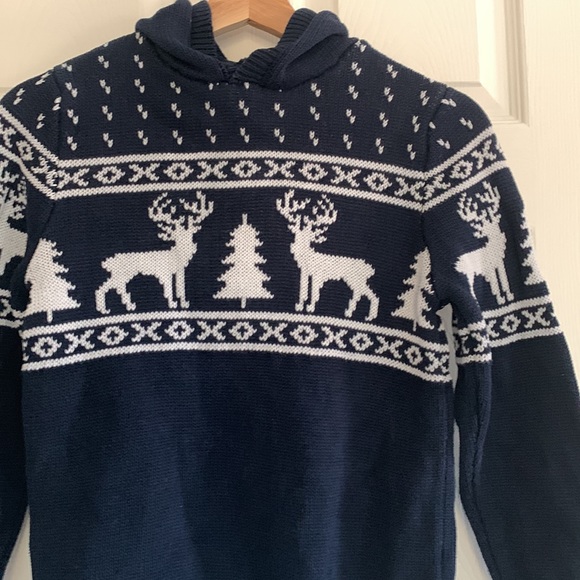 Reindeer Blue and White Knit Hooded Sweater - Picture 8 of 8